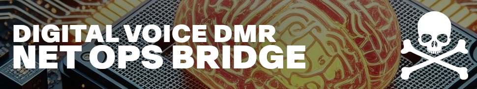 DVDMR NetOps Bridge Server